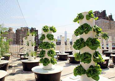 Urban Farming ©newfoodcity_de, Derk Hoberg